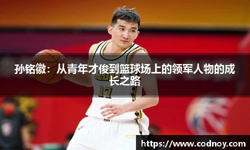 孙铭徽：从青年才俊到篮球场上的领军人物的成长之路