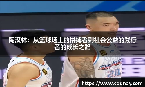 陶汉林：从篮球场上的拼搏者到社会公益的践行者的成长之路