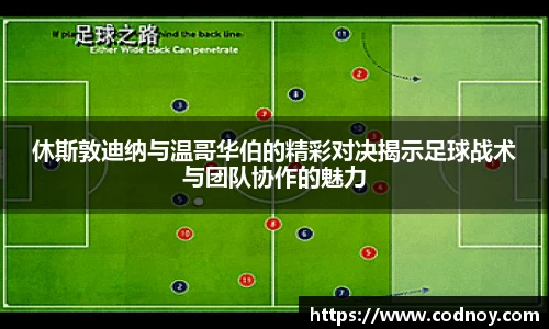 完美体育365平台官网
